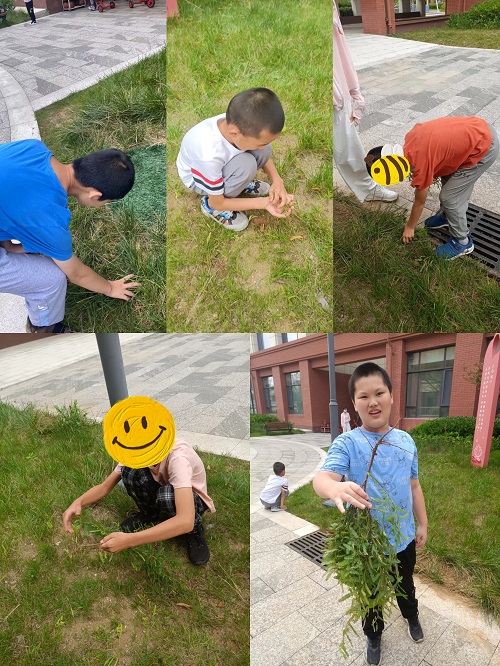 lADPKHCb2g5yVizNC0DNCHA_2160_2880.jpg lADPKHCb2g5yVizNC0DNCHA_2160_2880.jpg