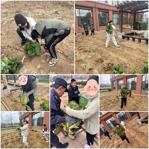 搬白菜1.jpg 搬白菜1.jpg