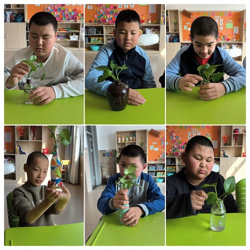 InShot_20250315_110827274.jpg InShot_20250315_110827274.jpg