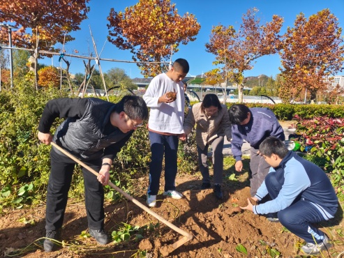 2025.10 刨地瓜 (1)_副本.jpg 2025.10 刨地瓜 (1)_副本.jpg